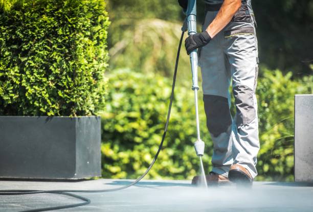 Best Patio and Deck Pressure Washing  in Tawas City, MI