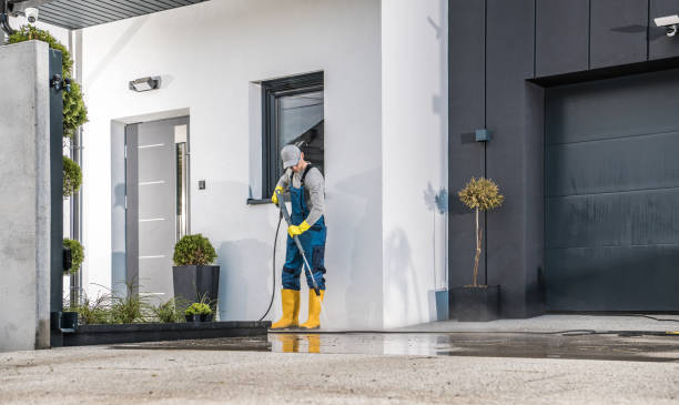 Best Soft Washing  in Tawas City, MI